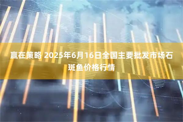 赢在策略 2025年6月16日全国主要批发市场石斑鱼价格行情
