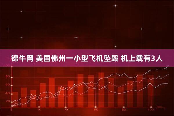 锦牛网 美国佛州一小型飞机坠毁 机上载有3人