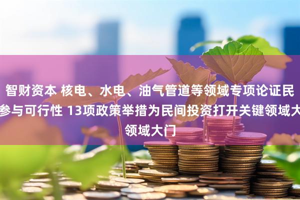 智财资本 核电、水电、油气管道等领域专项论证民资参与可行性 13项政策举措为民间投资打开关键领域大门