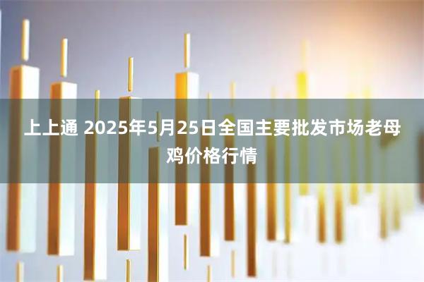 上上通 2025年5月25日全国主要批发市场老母鸡价格行情